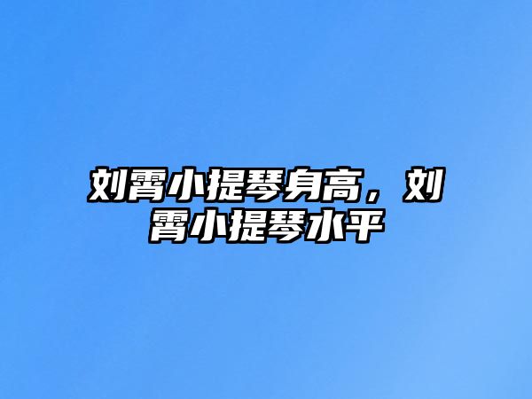 劉霄小提琴身高，劉霄小提琴水平