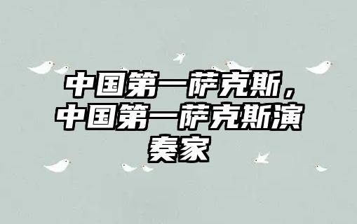 中國(guó)第一薩克斯，中國(guó)第一薩克斯演奏家