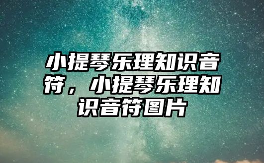 小提琴樂理知識音符，小提琴樂理知識音符圖片