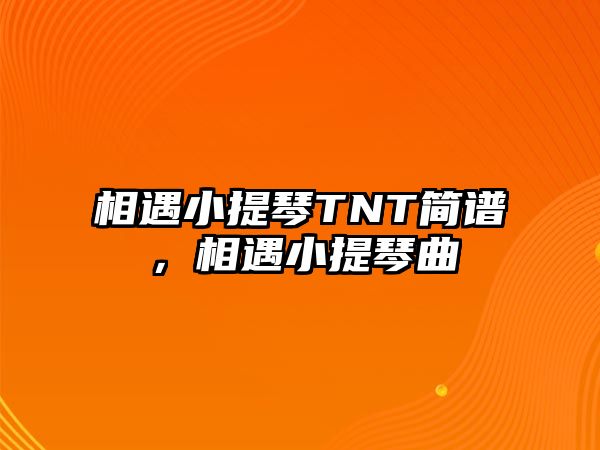 相遇小提琴TNT簡譜，相遇小提琴曲