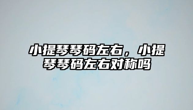 小提琴琴碼左右，小提琴琴碼左右對稱嗎