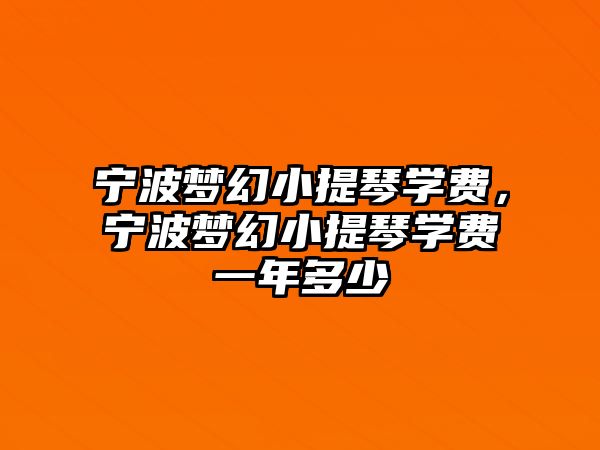 寧波夢幻小提琴學費，寧波夢幻小提琴學費一年多少