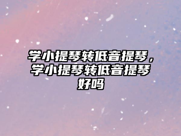 學小提琴轉低音提琴，學小提琴轉低音提琴好嗎