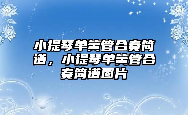 小提琴單簧管合奏簡譜，小提琴單簧管合奏簡譜圖片