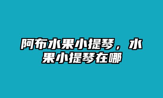 阿布水果小提琴，水果小提琴在哪