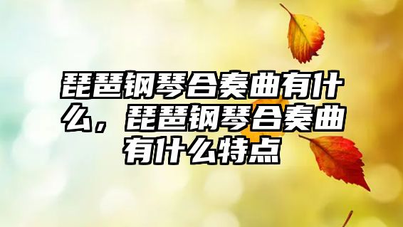 琵琶鋼琴合奏曲有什么，琵琶鋼琴合奏曲有什么特點(diǎn)