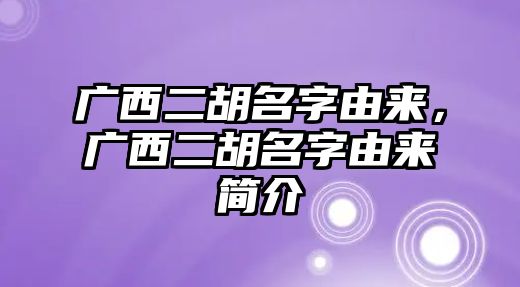 廣西二胡名字由來，廣西二胡名字由來簡介