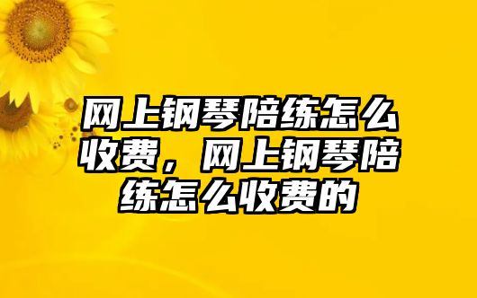 網上鋼琴陪練怎么收費，網上鋼琴陪練怎么收費的