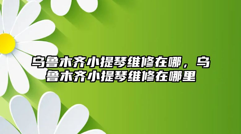 烏魯木齊小提琴維修在哪，烏魯木齊小提琴維修在哪里