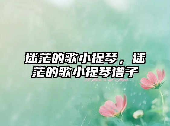 迷茫的歌小提琴，迷茫的歌小提琴譜子