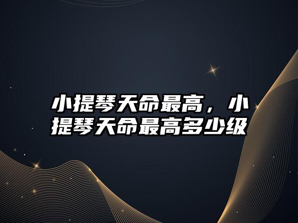 小提琴天命最高，小提琴天命最高多少級