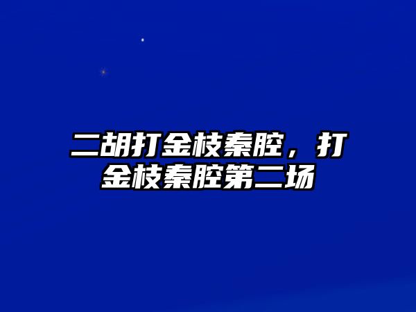 二胡打金枝秦腔，打金枝秦腔第二場(chǎng)