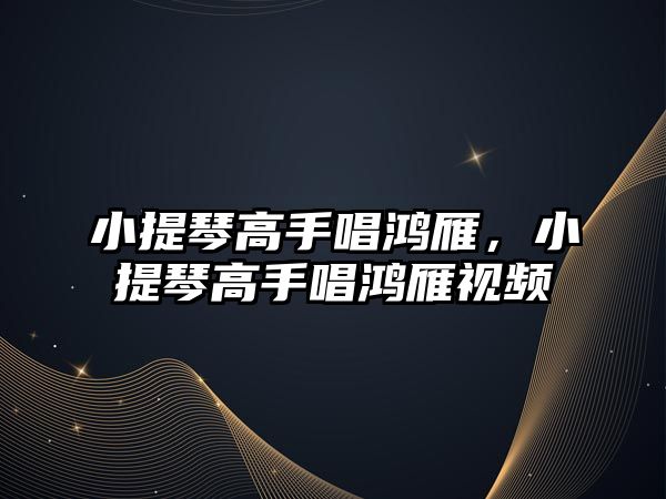 小提琴高手唱鴻雁，小提琴高手唱鴻雁視頻