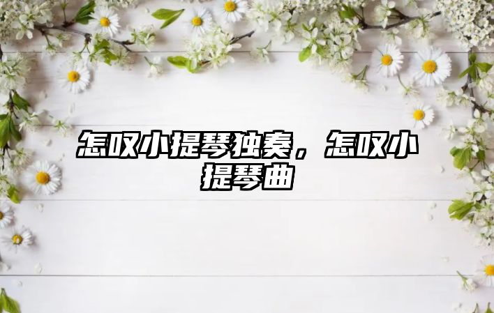 怎嘆小提琴獨奏，怎嘆小提琴曲