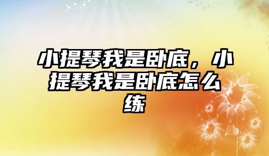 小提琴我是臥底，小提琴我是臥底怎么練