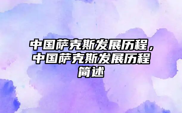 中國(guó)薩克斯發(fā)展歷程，中國(guó)薩克斯發(fā)展歷程簡(jiǎn)述