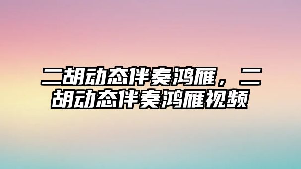 二胡動態伴奏鴻雁，二胡動態伴奏鴻雁視頻