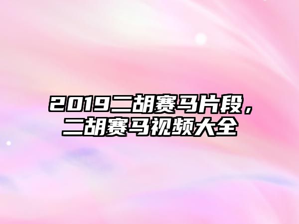 2019二胡賽馬片段，二胡賽馬視頻大全