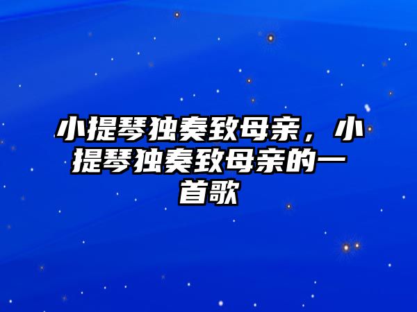 小提琴獨奏致母親，小提琴獨奏致母親的一首歌