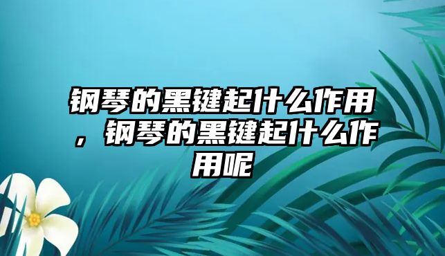 鋼琴的黑鍵起什么作用，鋼琴的黑鍵起什么作用呢