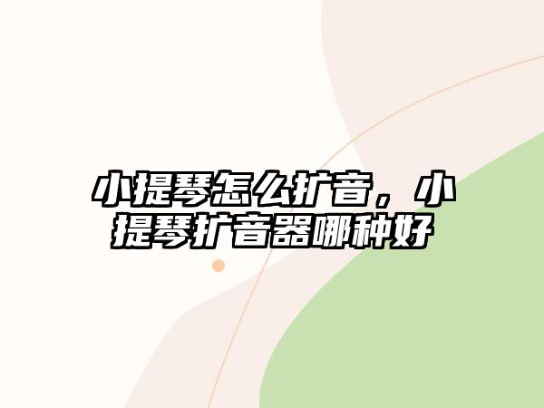 小提琴怎么擴音，小提琴擴音器哪種好