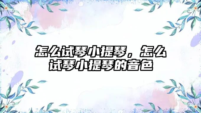 怎么試琴小提琴，怎么試琴小提琴的音色