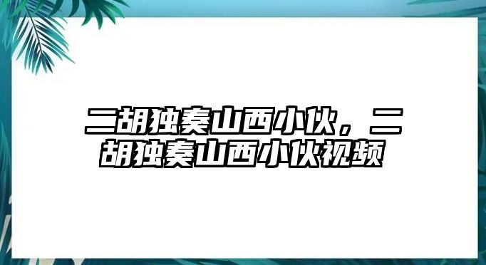 二胡獨奏山西小伙，二胡獨奏山西小伙視頻