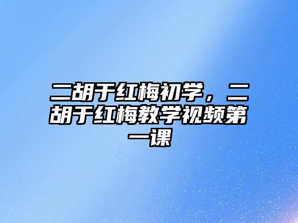 二胡于紅梅初學，二胡于紅梅教學視頻第一課