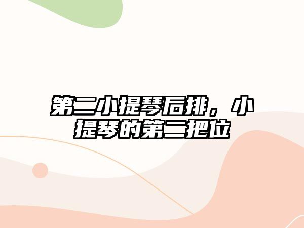 第二小提琴后排，小提琴的第二把位