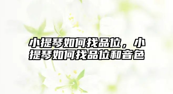 小提琴如何找品位，小提琴如何找品位和音色