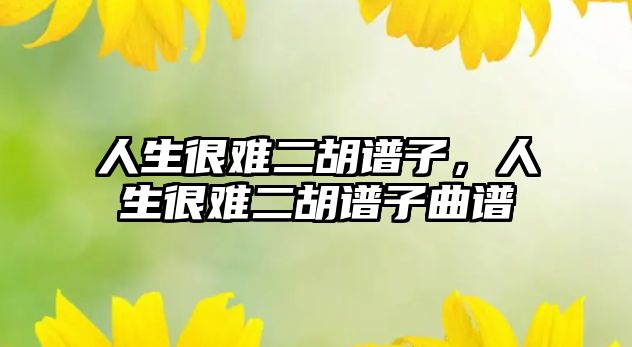 人生很難二胡譜子，人生很難二胡譜子曲譜