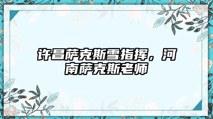 許昌薩克斯雪指揮，河南薩克斯老師