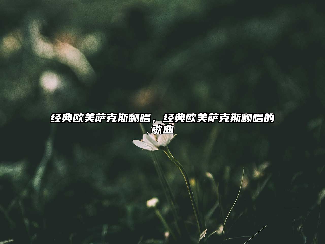 經典歐美薩克斯翻唱，經典歐美薩克斯翻唱的歌曲