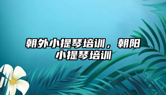 朝外小提琴培訓，朝陽小提琴培訓