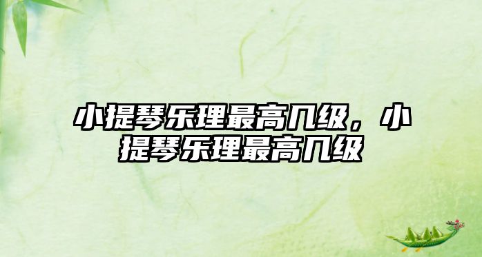 小提琴樂理最高幾級，小提琴樂理最高幾級