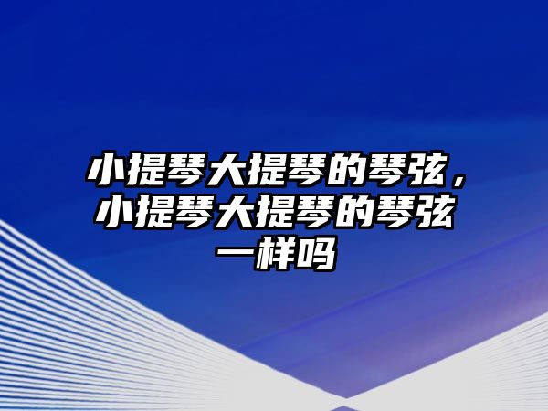 小提琴大提琴的琴弦，小提琴大提琴的琴弦一樣嗎