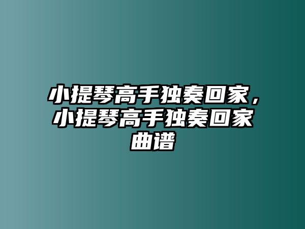 小提琴高手獨(dú)奏回家，小提琴高手獨(dú)奏回家曲譜