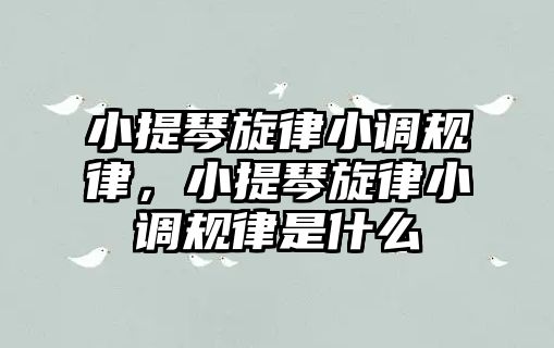 小提琴旋律小調規律，小提琴旋律小調規律是什么