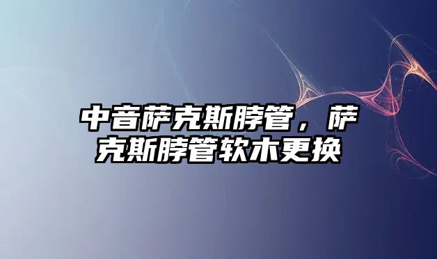 中音薩克斯脖管，薩克斯脖管軟木更換