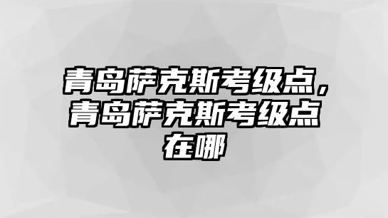 青島薩克斯考級點，青島薩克斯考級點在哪