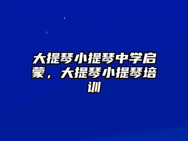 大提琴小提琴中學啟蒙，大提琴小提琴培訓