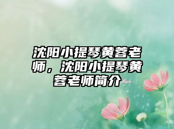 沈陽小提琴黃蓉老師，沈陽小提琴黃蓉老師簡介