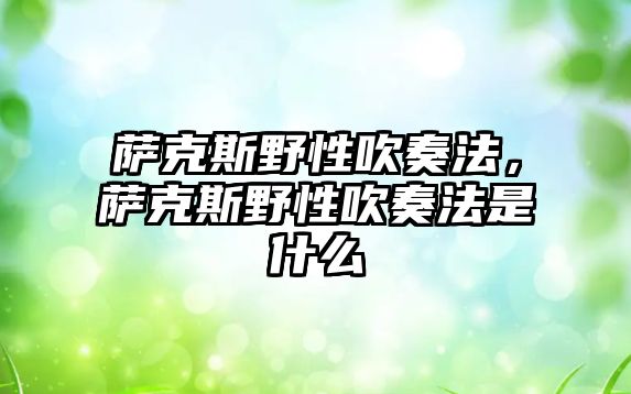 薩克斯野性吹奏法，薩克斯野性吹奏法是什么