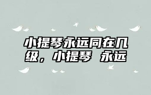 小提琴永遠同在幾級，小提琴 永遠