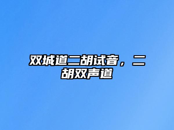 雙城道二胡試音，二胡雙聲道