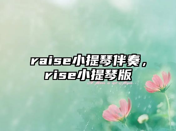 raise小提琴伴奏，rise小提琴版