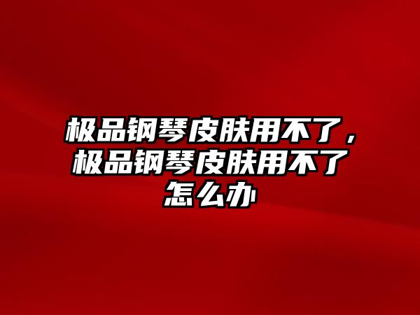 極品鋼琴皮膚用不了，極品鋼琴皮膚用不了怎么辦