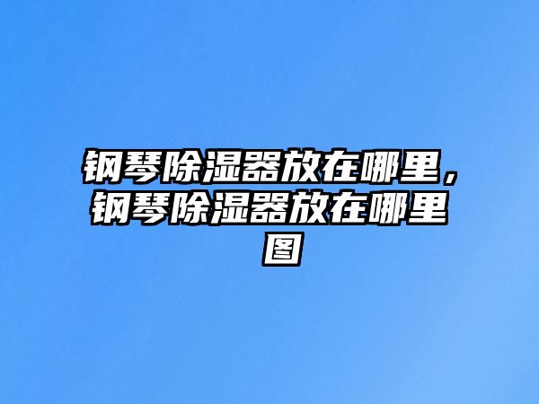 鋼琴除濕器放在哪里，鋼琴除濕器放在哪里 圖