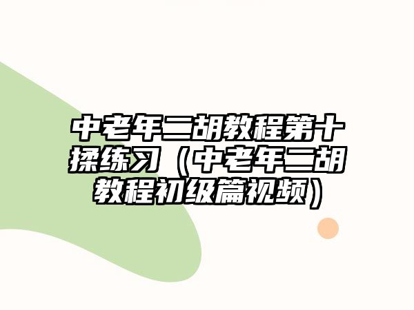 中老年二胡教程第十揉練習（中老年二胡教程初級篇視頻）