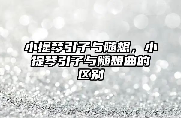 小提琴引子與隨想，小提琴引子與隨想曲的區別